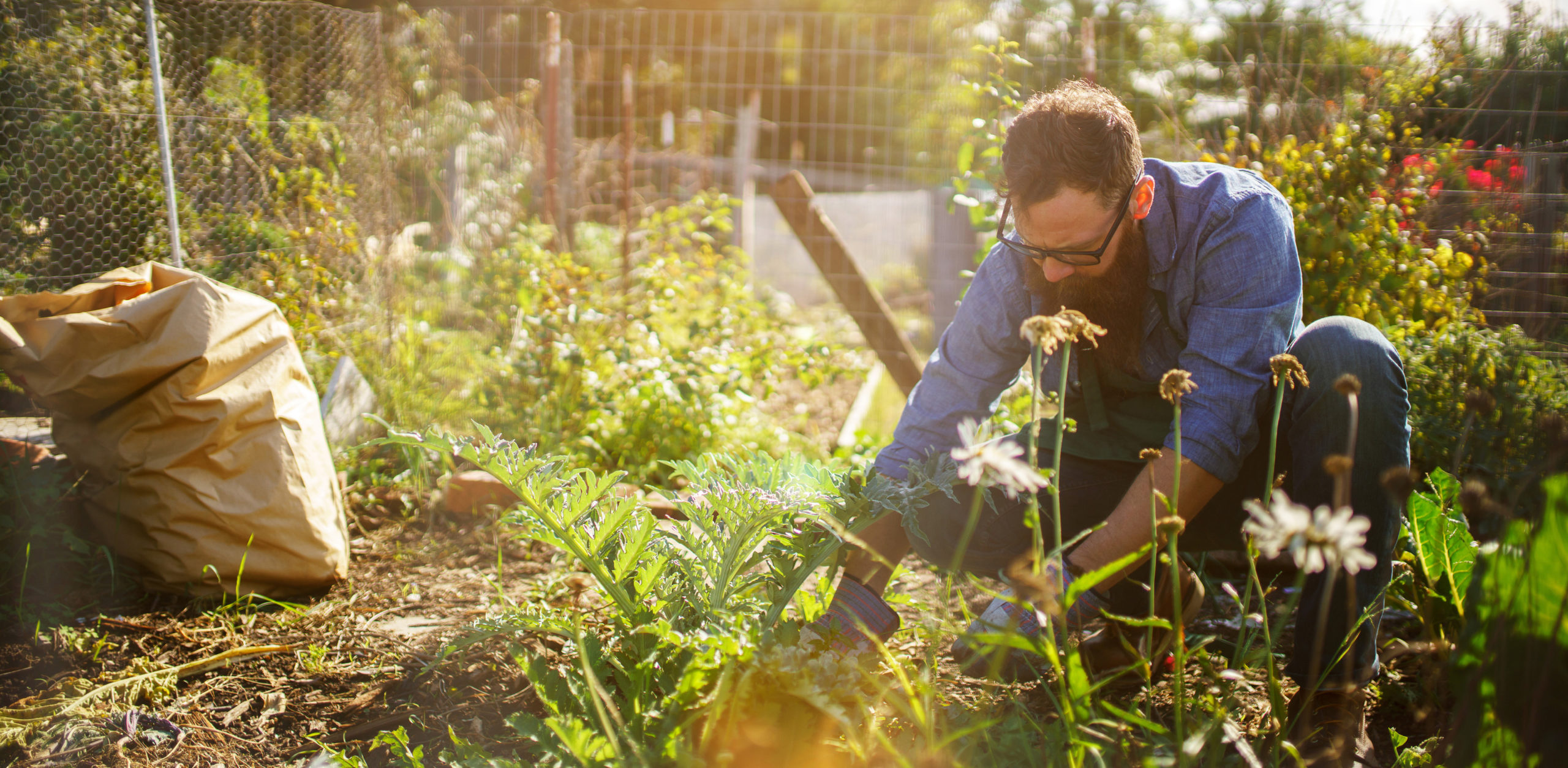 oui. studios – oui. studios – Kreativagentur - Sparkasse Bremen - Kampagne: Mood