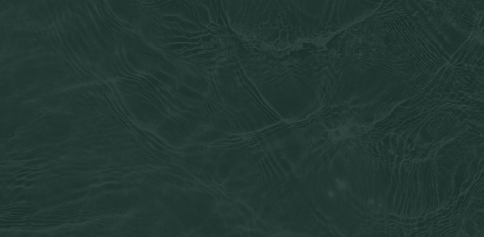 oui. studios – Überwasser Appartments - Wellen